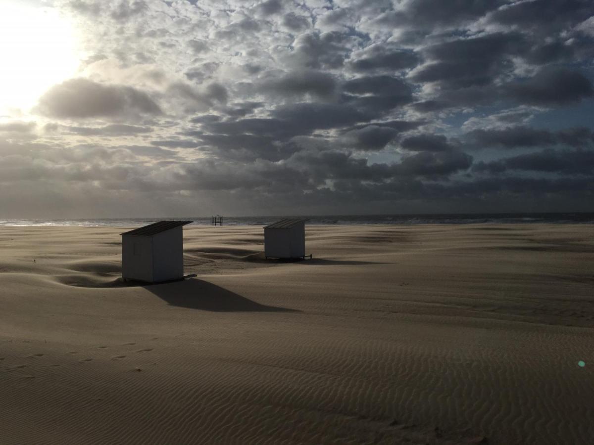 Appartement Congé Nieuw Dichtbij Zee Ostende